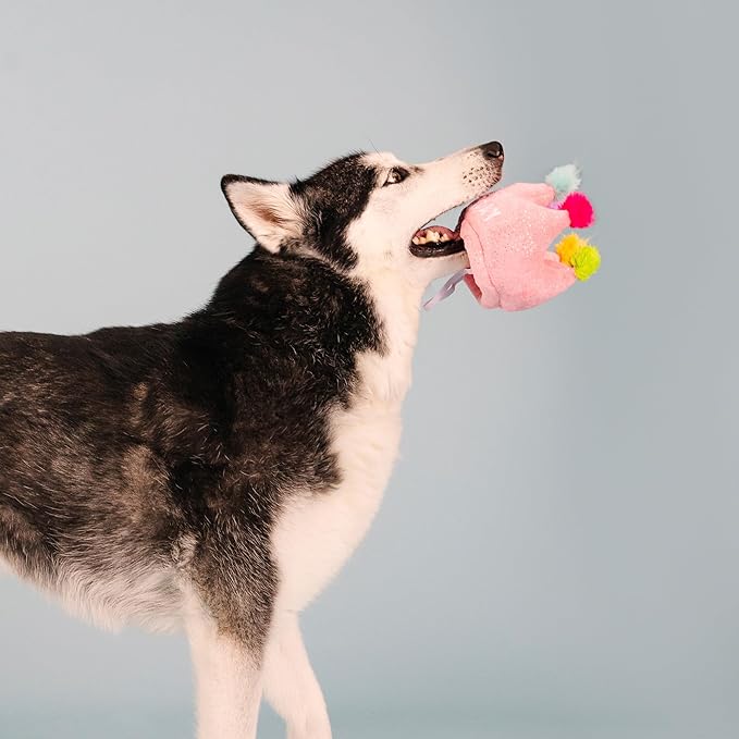 Fringe Studio Plush Dog Toy, If The Crown Fits, Pet Shop Collection (314209)