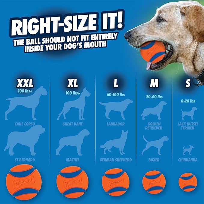 Chuckit! Ultra Ball Dog Toy - Medium Bouncy Fetch Balls for Dogs 20-60 lbs - Made from Durable Rubber - Floating Water Pet Toys - Size Medium - 2.5-inch Diameter, 2 Count, (Pack of 6)