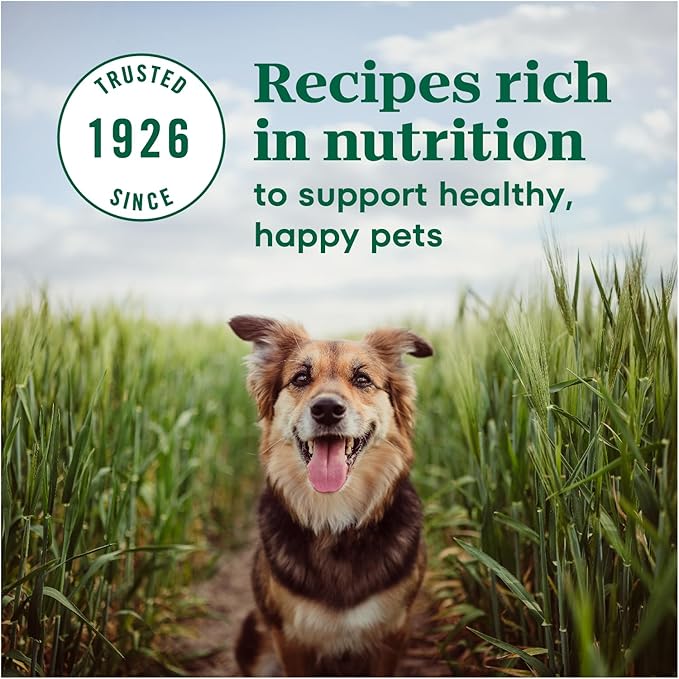 Nutro Max Mini Chunk Dry Dog Food, Adult Dog Food Dry Recipe with Farm-Raised Chicken, 25 lb. Bag