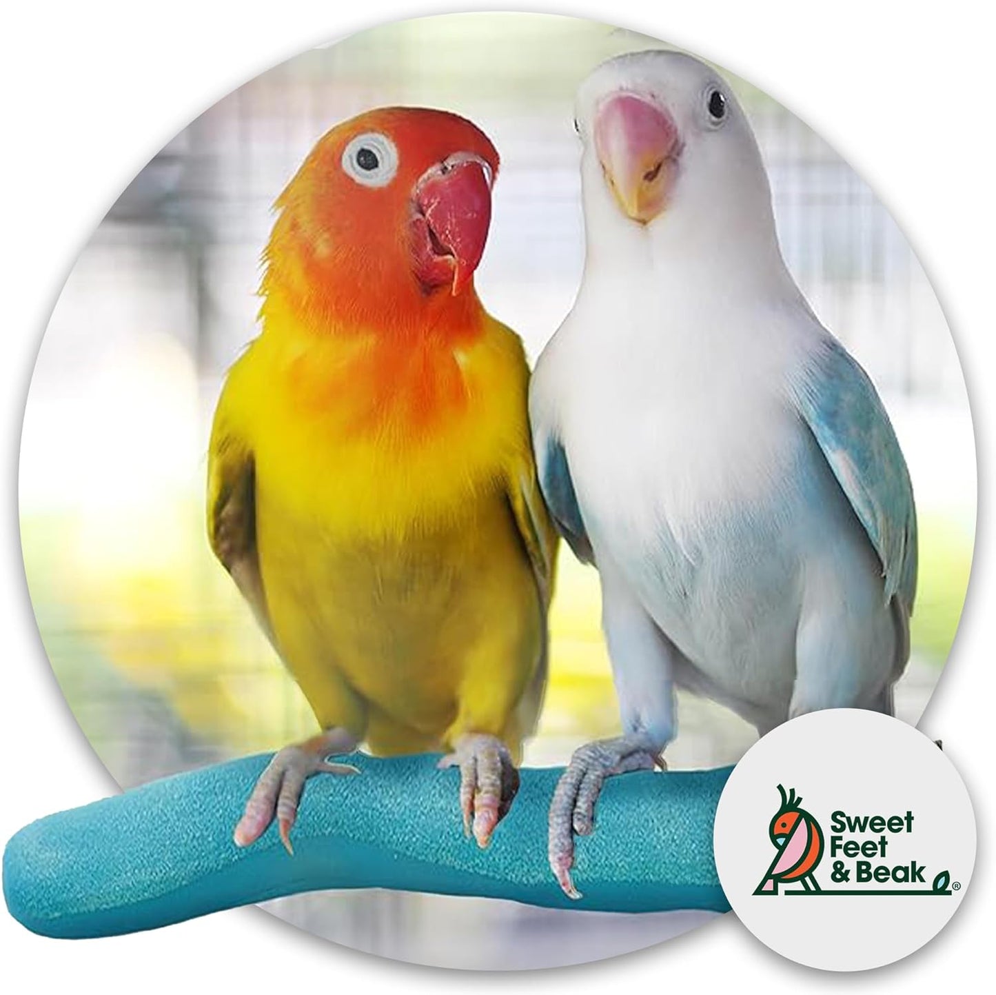 Safety Pumice Perch - Trims Nails and Beak - Promotes Healthy Feet - Safe Non-Toxic Bird Supplies for Bird Cages - X-Large 14"
