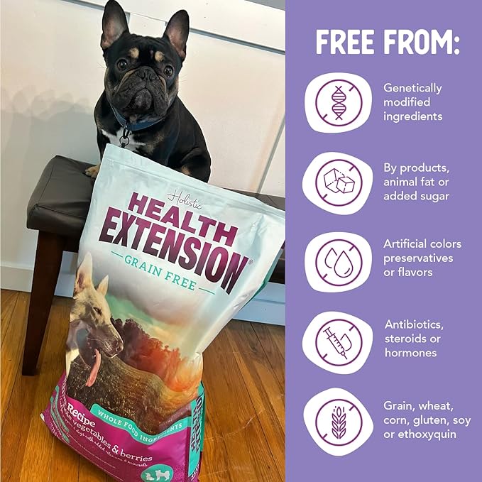 Health Extension Grain Free Salmon & Sweet Potato Dry Dog Food - 30+ Superfoods and Probiotics for All Life Stages (23.5 lb)