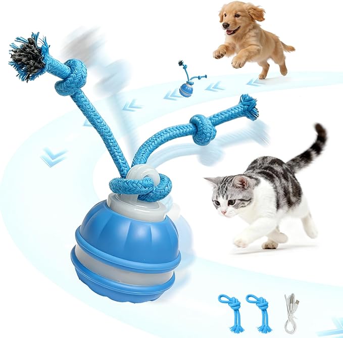 Interactive Dog & Cat Toys for Small Dogs and Indoor Cats - Automatic Moving Ball with Chirping Sound, Motion Activated Self Play Toy to Entertain Bored Pets, Durable USB-C Rechargeable (1 Blue)