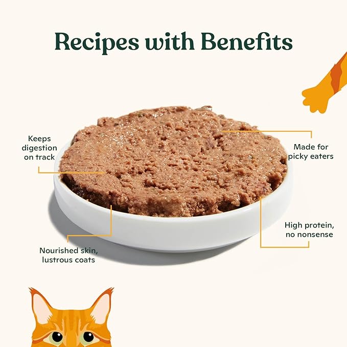 Made by Nacho Premium Wet Cat Food Grain-Free Pate Cans (Turkey & Turkey Liver - 24 Pack, 5.5 Ounce)