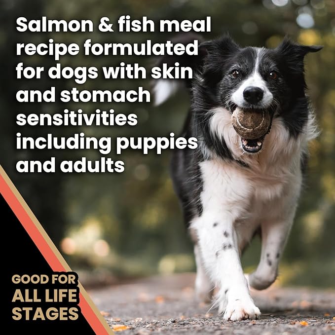 VICTOR Super Premium Dog Food — Sensitive Skin and Stomach — Salmon Meal & Brown Rice Recipe Dry Kibble — Gluten Free, No Chicken, Ideal for Dogs with Allergies — Adult and Puppy Food, 15 lb