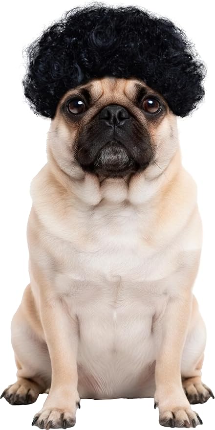 Rubies Afro Pet Wig for Dogs or Cats, S/M