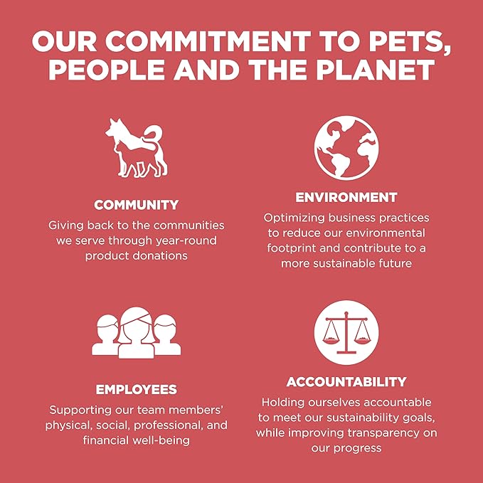 Go! Solutions Sensitivities Limited Ingredient Salmon Grain-Free Dry Cat Food, Chicken-Free Kibble Made by Experts for Sensitive Stomachs & Food Allergies, for Kittens, Adults, & Seniors, 6 lb Bag
