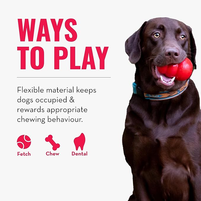 KONG Company 38736317: Duramax Dog Toy Ball, Md, Medium Breeds