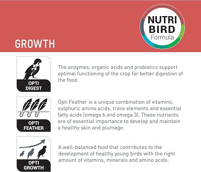 Versele Laga - Aliment élevage Oiseaux Exotiques - Nutribird A21 - 800 G