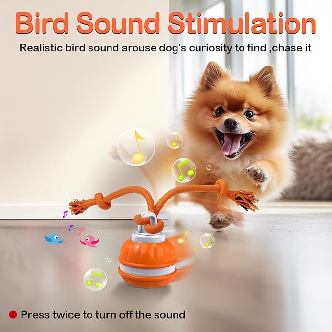 Salodal Peppy Pet Ball for Dogs, Dog Interactive Toys,Motion Activate Rolling Ball for Puppy/Small Dogs, Automatic Moving Toy,USB Rechargeable