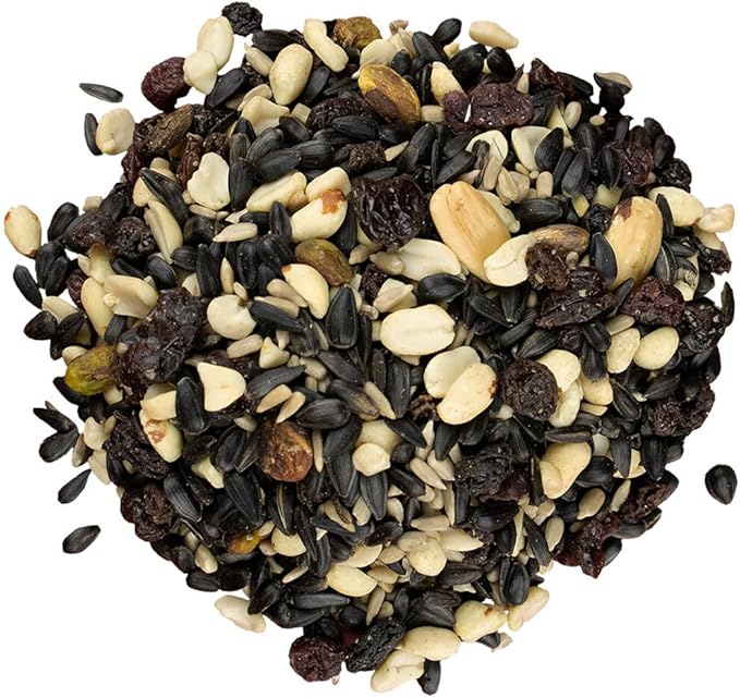Bird Pro Holistic Bird Seed - Premium Seed for Backyard Feeding (5 Pounds, Nutty Berries with Fruit)