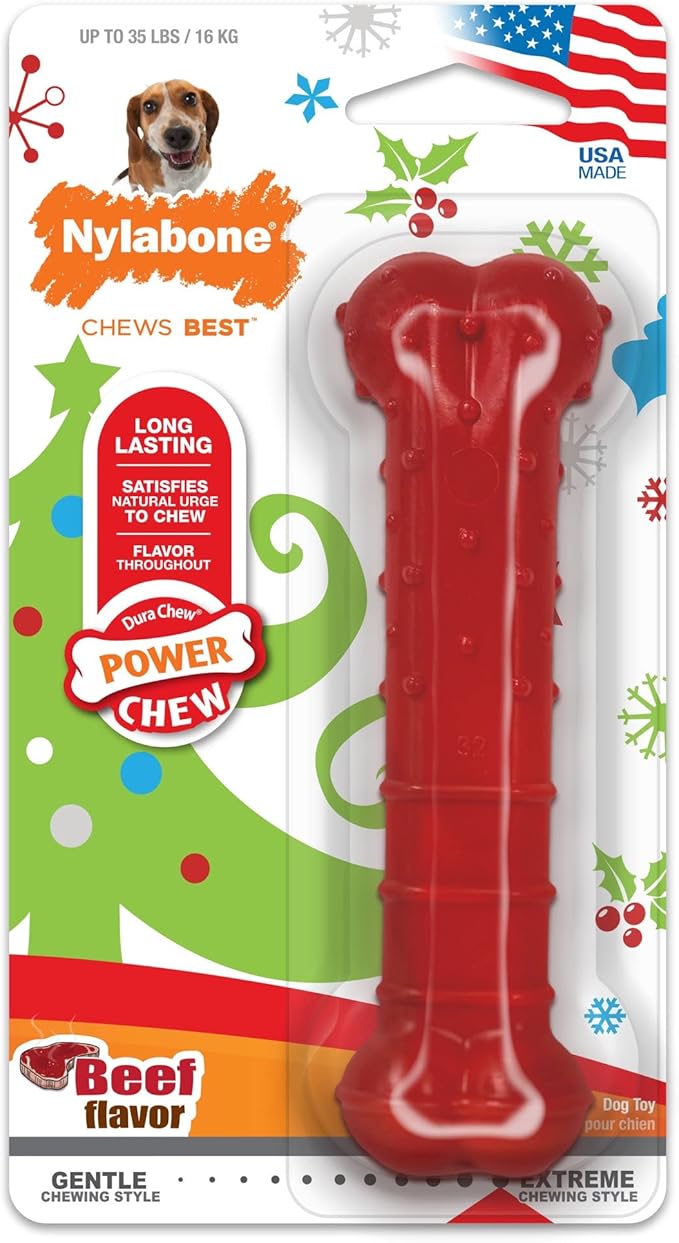 Nylabone Holiday Power Chew Textr Out-Season 0228