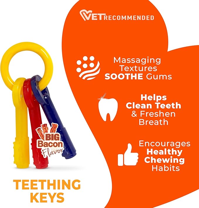Nylabone Puppy Chew Key Ring Toy, Toys for Teething Puppies, Multi Color, Bacon Flavor, X-Small - Up to 15 lbs, 1 Count