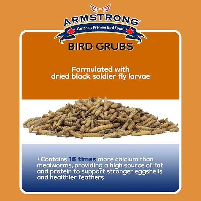 Armstrong Bird Grub Dried Black Soldier Fly Larvae, 1.1 Pounds - High-Calcium, Natural Mealworm Alternative for Orioles, Bluebirds, & Chickadees - Ideal for Outdoor Feeders