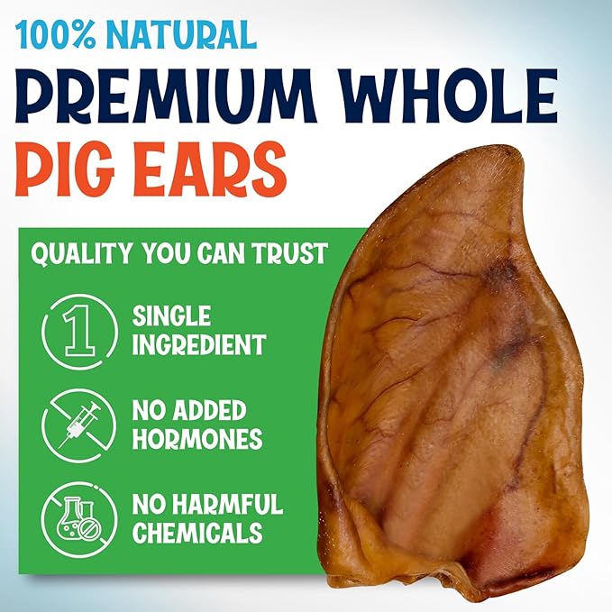Whole Pig Ears for Dogs Large - 200 Pack Long Lasting Dog Chews – One Ingredient Delicious All Natural Flavor – Easy to Digest Dog Treats for Large Dogs - Great for Teeth and Gums
