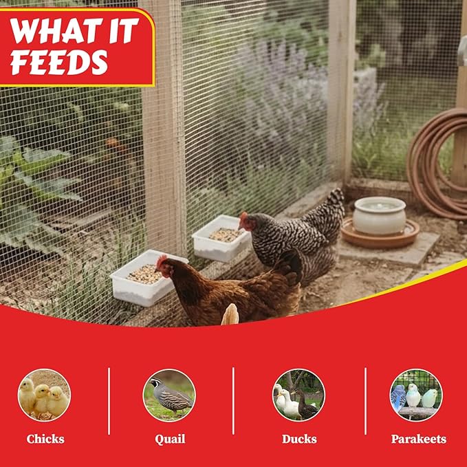 My Favorite Chicken Cage Cup 27oz – Hanging Chicken Feeder & Hanging Chicken Waterer for Chick, Quail, Duck, Parakeet – Small Poultry Waterer & Feed Dish – Cage & Coop Accessories