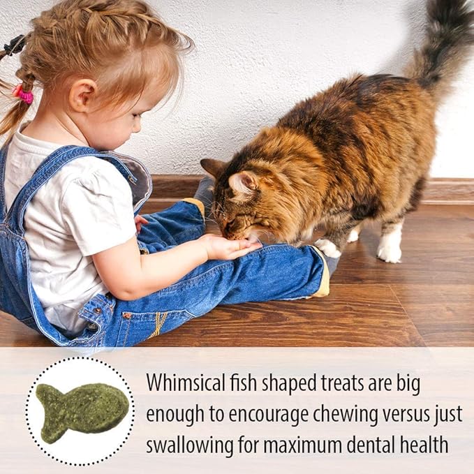 Emerald Pet 6 Pack of Catnip Feline Dental Treats, 3 Ounces Each, Grain-Free Cat Treats Made in The USA