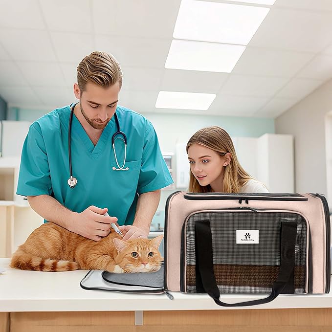 Cat Carrier - Cat Carrier Soft with Plush Pad & Cooling Mat, Easy-Load 4-Side Zipper & 3-Side Mesh Ventilation, Pet Carrier Airline Approved for Cats/Dogs Up to 16 lbs, Brown