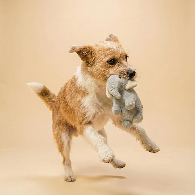Dog Toys | Plush Elephant Stuffed Animal for Dogs | Eco Friendly Medium Dog Toy