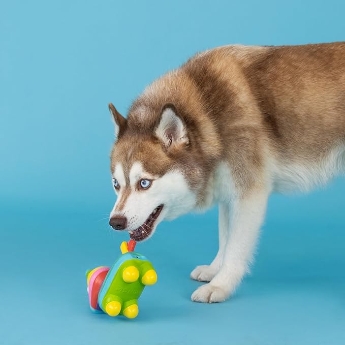 Fringe Studio Dog Toy, Life's A Paw-Ty, Latex, Pet Shop Collection (366012)
