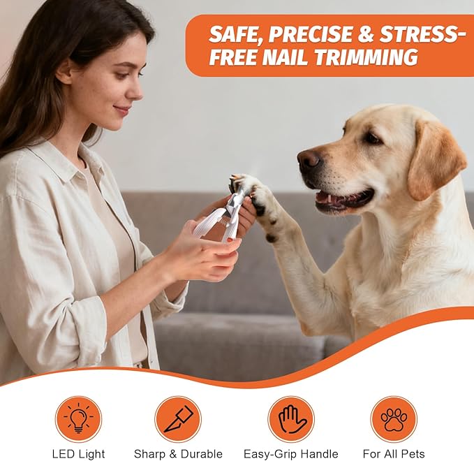 PAW PLANET Styptic Powder for Dogs & Cats -1.76oz Fast Acting Blood Stop Powder for Nail Clipping, Minor Cuts & Wing Clipping,Essential First Aid for Dark Nails (2-Pack)