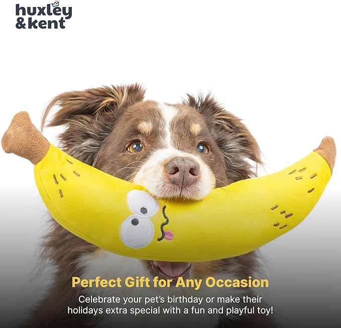 Huxley & Kent Funny Dog Toy w/Squeaker – Power Plush Squeaky Dog Toys for Small, Medium & Large Dogs – Soft Stuffed Animal for Indoor Play & Fetch - Fetchies® Bruiser Banana, Small