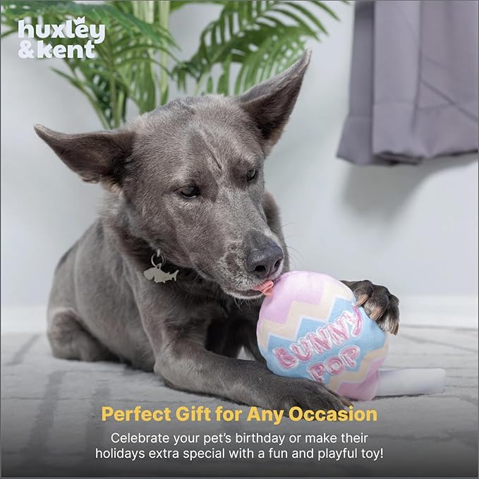 Huxley & Kent Funny Dog Toy w/Squeaker – Power Plush Squeaky Dog Toys for Small, Medium & Large Dogs – Soft Stuffed Animal for Indoor Play & Fetch - Bunny Pop, Small