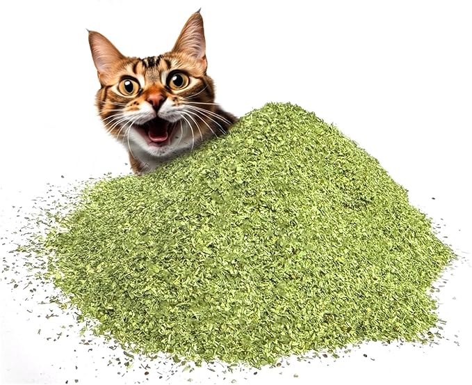 Fiend Catnip + Silvervine for Cats & Kittens Safety-Cut Premium Fine Cat Nip Blend with Vegan Silvervine + Ultra Potent, North American – 1 Cup (34.5g) Go Ahead, Create a Monster!