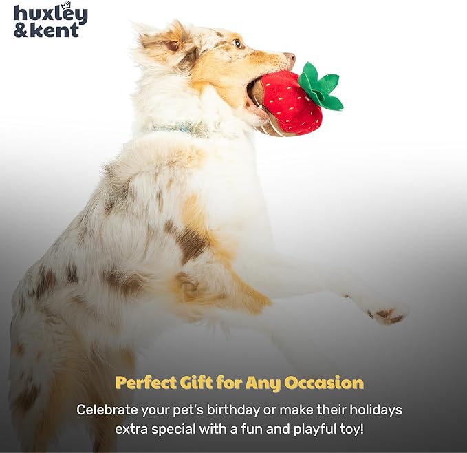 Huxley & Kent Funny Dog Toy w/Squeaker – Valentine's Day Power Plush Squeaky Dog Toys for Small, Medium & Large Dogs – Soft Stuffed Animal for Indoor Play & Fetch - Chocolate Strawberry, Large