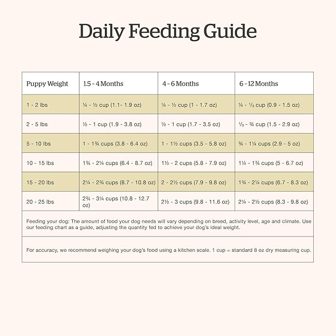 Now Fresh Grain-Free Small Breed Dry Puppy Food with Turkey, Salmon & Duck, Healthy Kibble for Growing Dogs with Real Poultry & Fish, Chicken-Free, Pumpkin & Probiotics for Good Digestion, 3.5 lb Bag