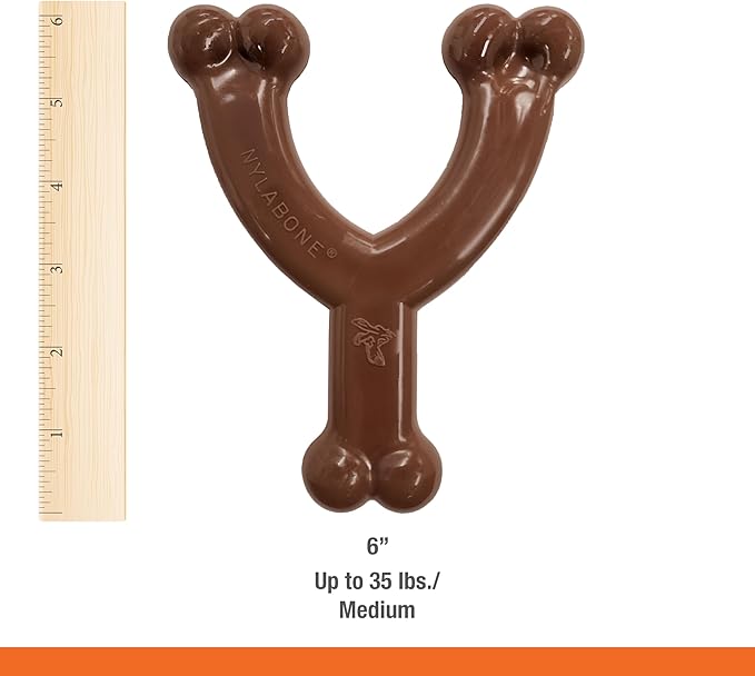 Nylabone Wishbone Flexi Chew Toy for Dogs, Flexible Dog Toys for Moderate & Gentle Chewers, Flavor Medley Flavor, Medium - Up to 35 lbs, 1 Count