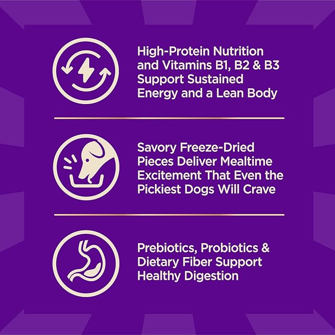 Wellness CORE+ Small Breed Adult Dry Dog Food with Freeze Dried Pieces, Grain Free Kibble+, Natural, High Protein, Turkey and Chicken Recipe, 10 lb Bag