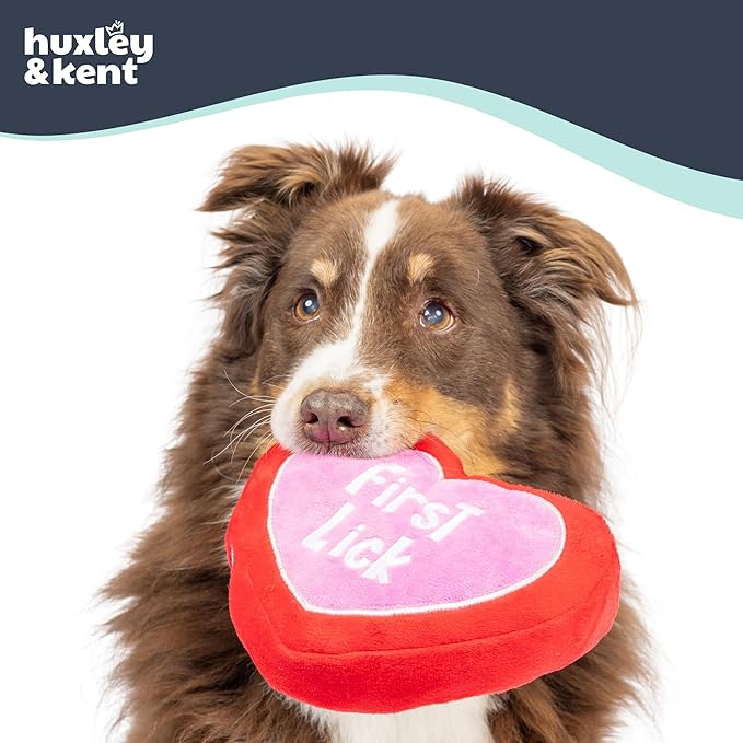 Huxley & Kent Funny Dog Toy w/Squeaker – Valentine's Day Power Plush Squeaky Dog Toys for Small, Medium & Large Dogs – Soft Stuffed Animal for Indoor Play & Fetch - First Lick Heart, Large