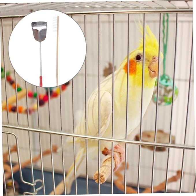LIOOBO 2pcs Set Birdcage Brush Grooming Cleaner Bird Cages Bird Poop Pet Bird Cleaning Brush Bird Cage Accessories Parrot Cage Accessory Bird Cage Brush Stainless Steel