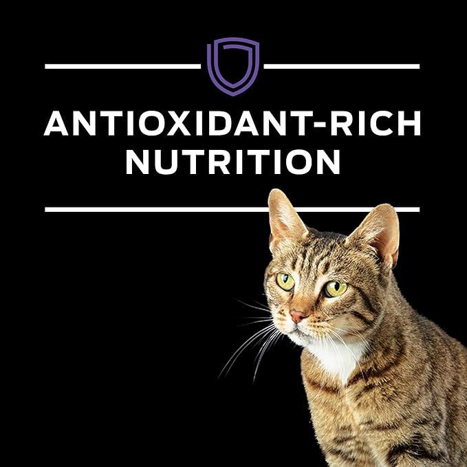 Pro Plan Veterinary Diets Purina EN Gastroenteric Feline Formula Dry Cat Food - 16 lb. Bag