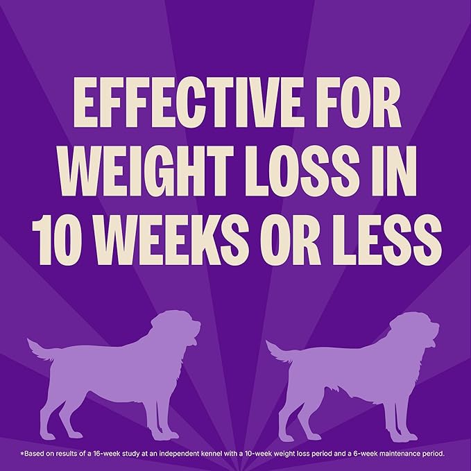 Wellness CORE Healthy Weight Adult Dry Dog Food, Grain Free Kibble, Natural, High Protein, Turkey and Chicken Recipe, 26 lb Bag