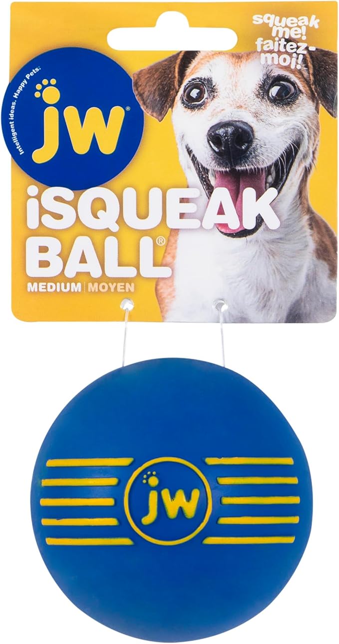 JW iSqueak Ball Durable Natural Rubber Dog Toy (Assorted Colors)