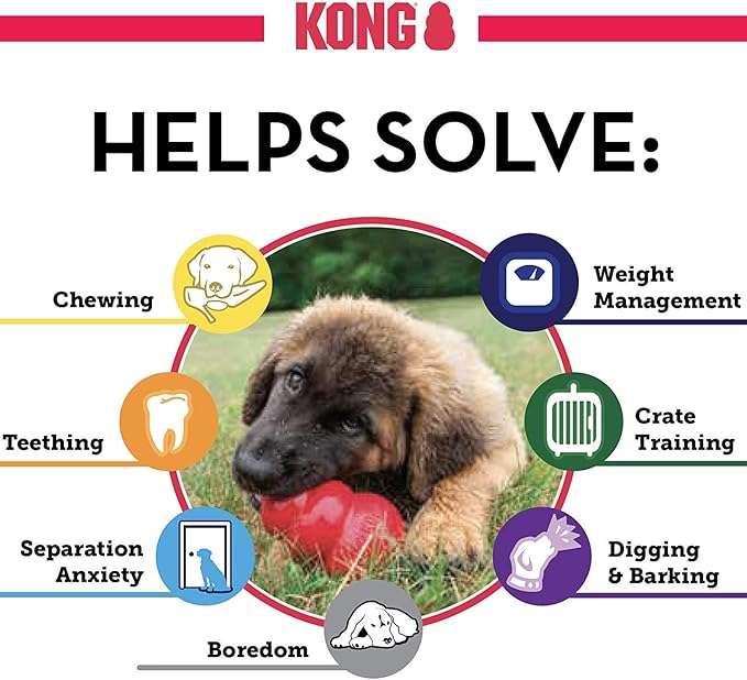 (3 Pack) Kong Small Puppy Kongs