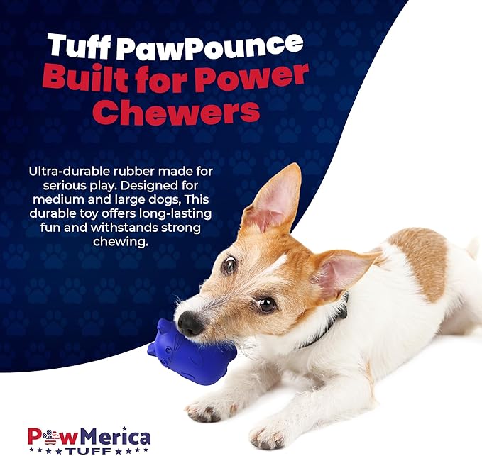 PawPounce – Indestructible Dog Toy for Aggressive Chewers – Cat-Themed Design for Fun & Interactive Play – Supports Dental & Gum Health – Pet-Safe & Made in USA (4 x 3 x 2.9 Inches)