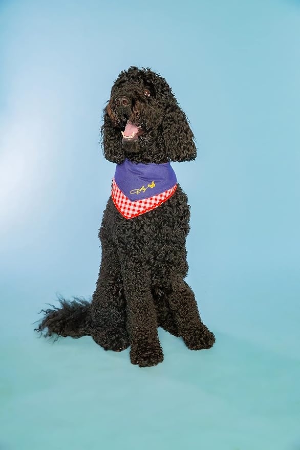 Doggy Parton Blue Printed Denim & Gingham Print Bandana for Pets, Medium/Large (22120720)