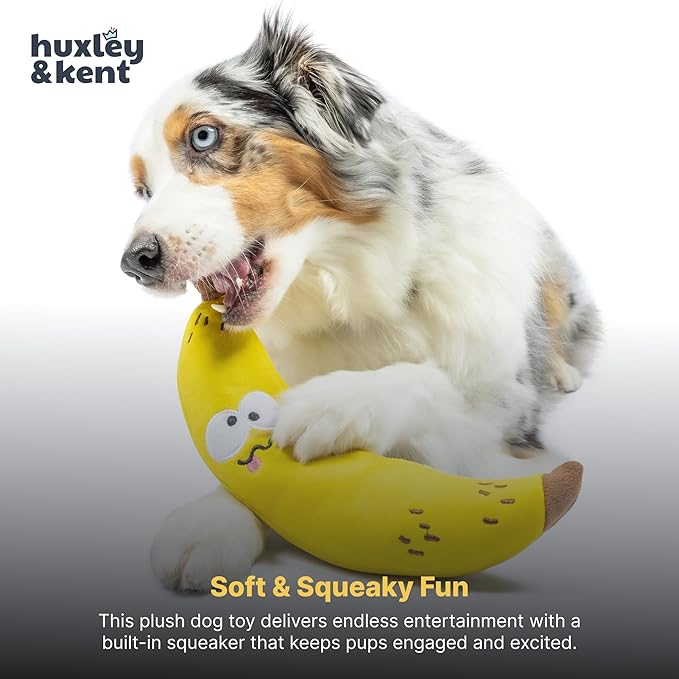 Huxley & Kent Funny Dog Toy w/Squeaker – Power Plush Squeaky Dog Toys for Small, Medium & Large Dogs – Soft Stuffed Animal for Indoor Play & Fetch - Fetchies® Bruiser Banana, Small