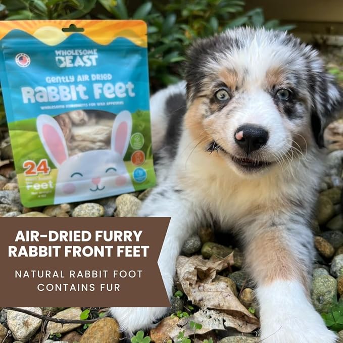Rabbit Feet for Dogs & Cats - Air Dried Rabbit Feet Dog Treats - Made in USA - Rabbit Front Feet for Cats & Dogs - Whole Rabbit Feet with Fur for Dogs - Rabbit Feet Pet Treats- 24 Count