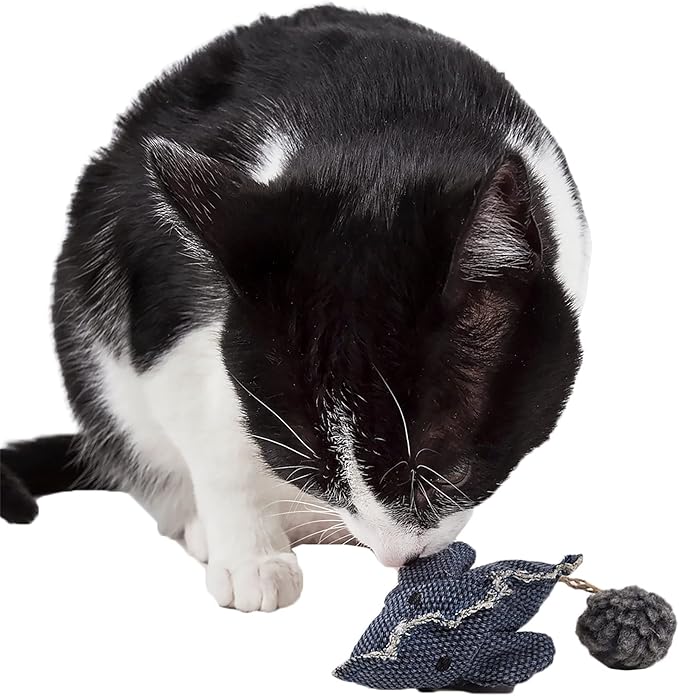 Pet Life ® 'Pompom Tailed' Extra-Durable Mouse Plush Catnip Cat Toy