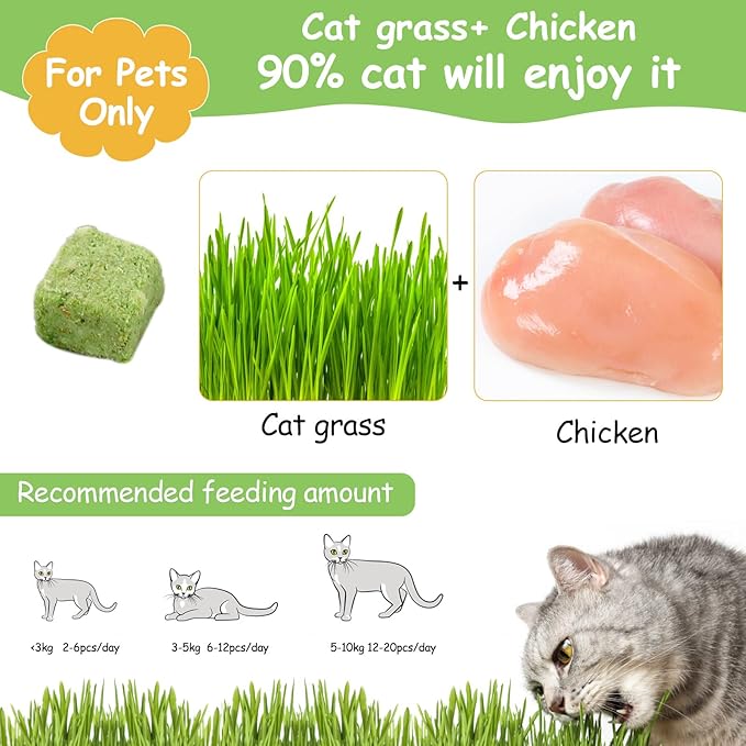 60g Cat Grass Treats for Indoor Cats, Freezed Dried Cat Grass Teething Stick Snacks for Cats, Edible Feline Chew Toys for Hairball Control and Oral Health