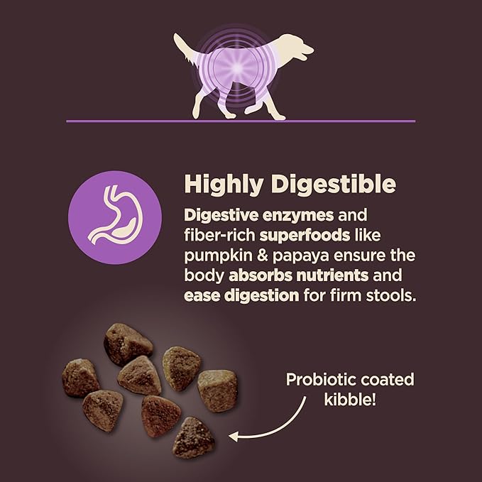 Wellness CORE Digestive Health Age Advantage Senior Dry Dog Food, Wholesome Grain Kibble, Sensitive Stomach, Natural, High Protein, Chicken and Brown Rice Recipe, 4 lb Bag
