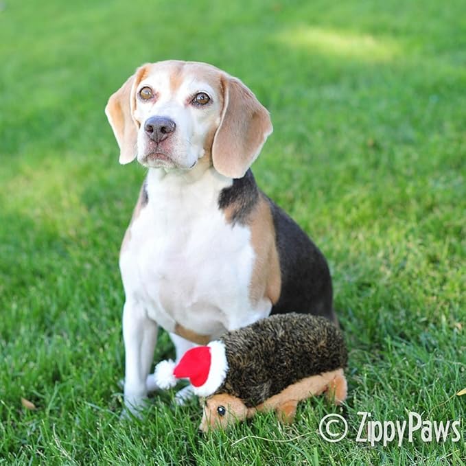 ZippyPaws Holiday Hedgehog - Dog Squeaky Toys to Keep Them Busy, Cute Plush for Medium & Large Dogs, Stuffed Puppy Toy, Pet Products, Gift for All Breeds, Interactive Squeaker - Large