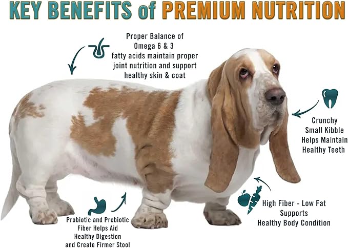 Chicken Soup for The Soul All Natural Premium Weight Care Adult Dry Dog Food, Real Meat First Ingredient, No by-Products, Hi Fiber/Low Fat Support Ideal Weight, Brown Rice, Chicken & Turkey, 4.5lb