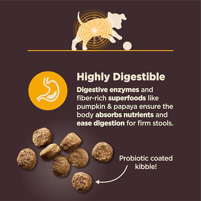Wellness CORE Digestive Health Puppy Dry Dog Food, Wholesome Grain Kibble, Sensitive Stomach, Natural, High Protein, Chicken and Brown Rice Recipe, 4 lb Bag