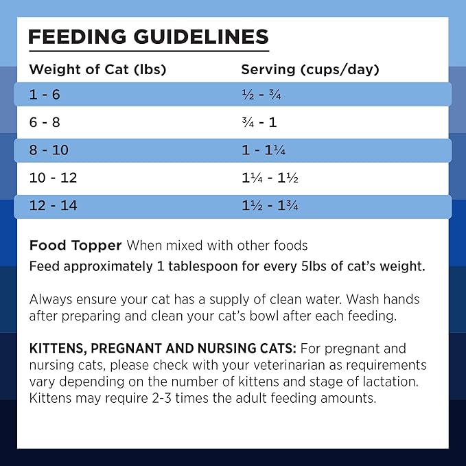 BIXBI Rawbble Freeze Dried Cat Food, Turkey Recipe, 10 oz - 94% Meat and Organs, No Fillers - Pantry-Friendly Raw Cat Food for Meal, Treat or Food Topper - USA Made in Small Batches