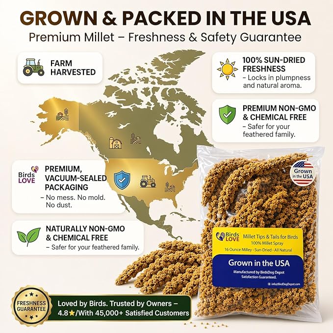 1lb Millet Tips & Tails for Birds - Parakeets, Cockatiels, Lovebirds, Finches, Budgies, Canaries, Cockatoos - Natural & Healthy Millet for Birds - Parakeet Food & Treats for All Parrots (2 Pack)