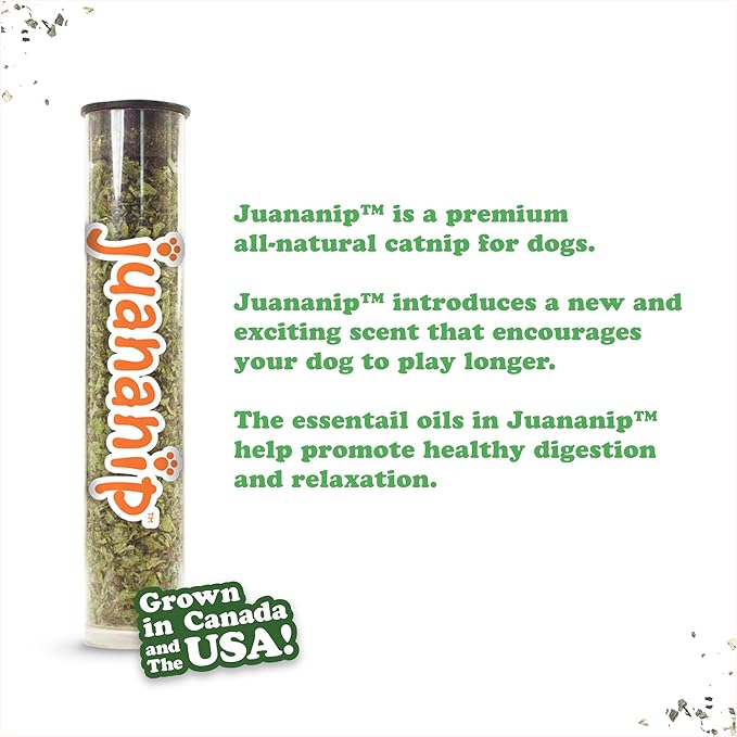 Doggijuana Refillable Juananip Toy Bundle | Squirrel Bundle | Funny Dog Toy Plush with Catnip and Refill | Calming Aid for Dogs | Interactive Chew Toy for Play